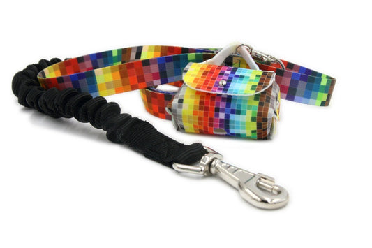 Shock Absorbing Dog Leash - Pixels